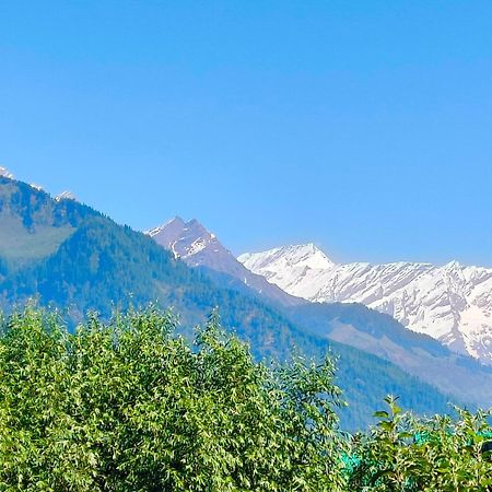 Melody Orchard Cottage Jagatsukh Екстериор снимка